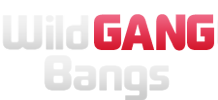 VidzFlix.com