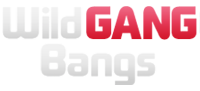 VidzFlix.com
